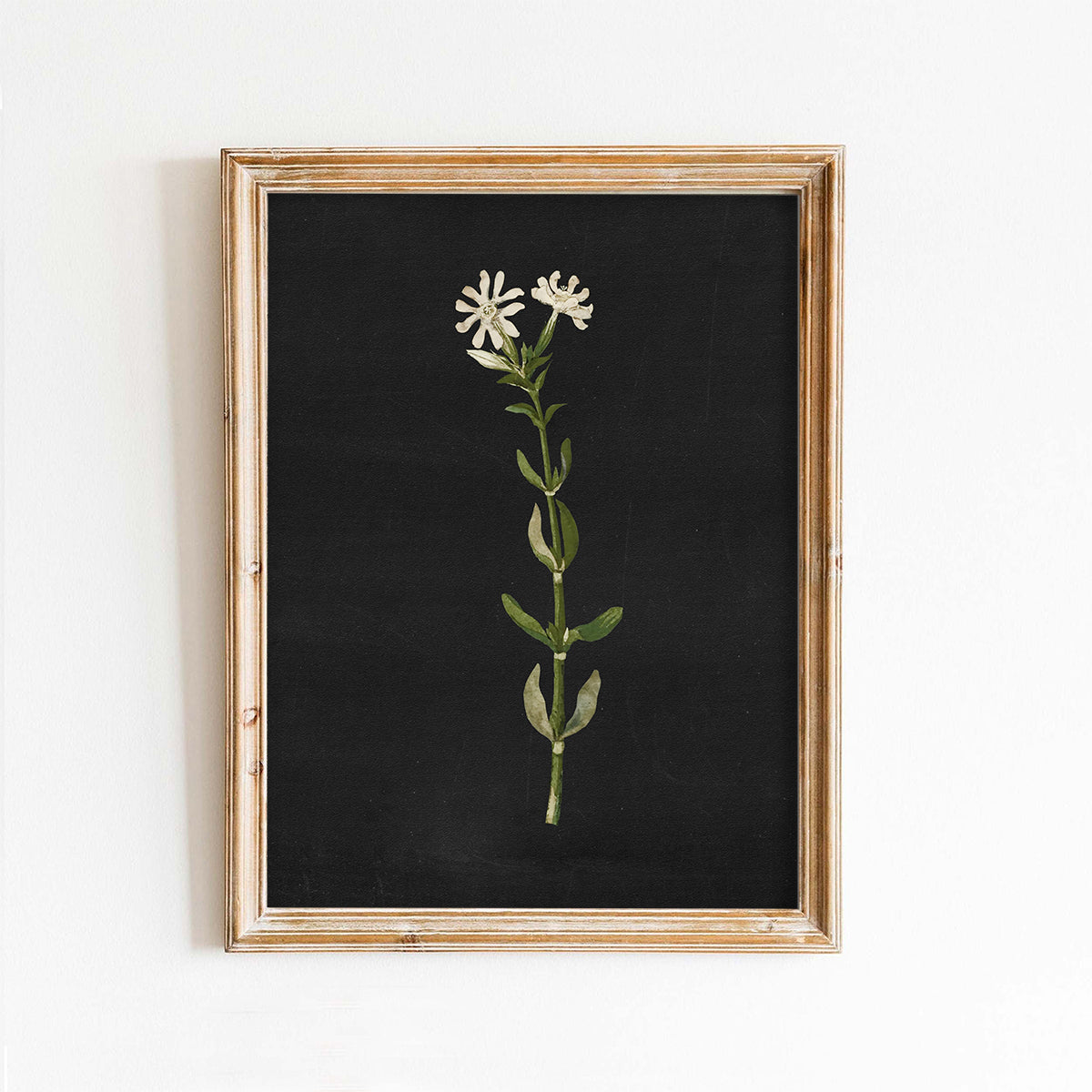 Black Background Flowers 3 Vintage Art Print – Paper House Print Shop