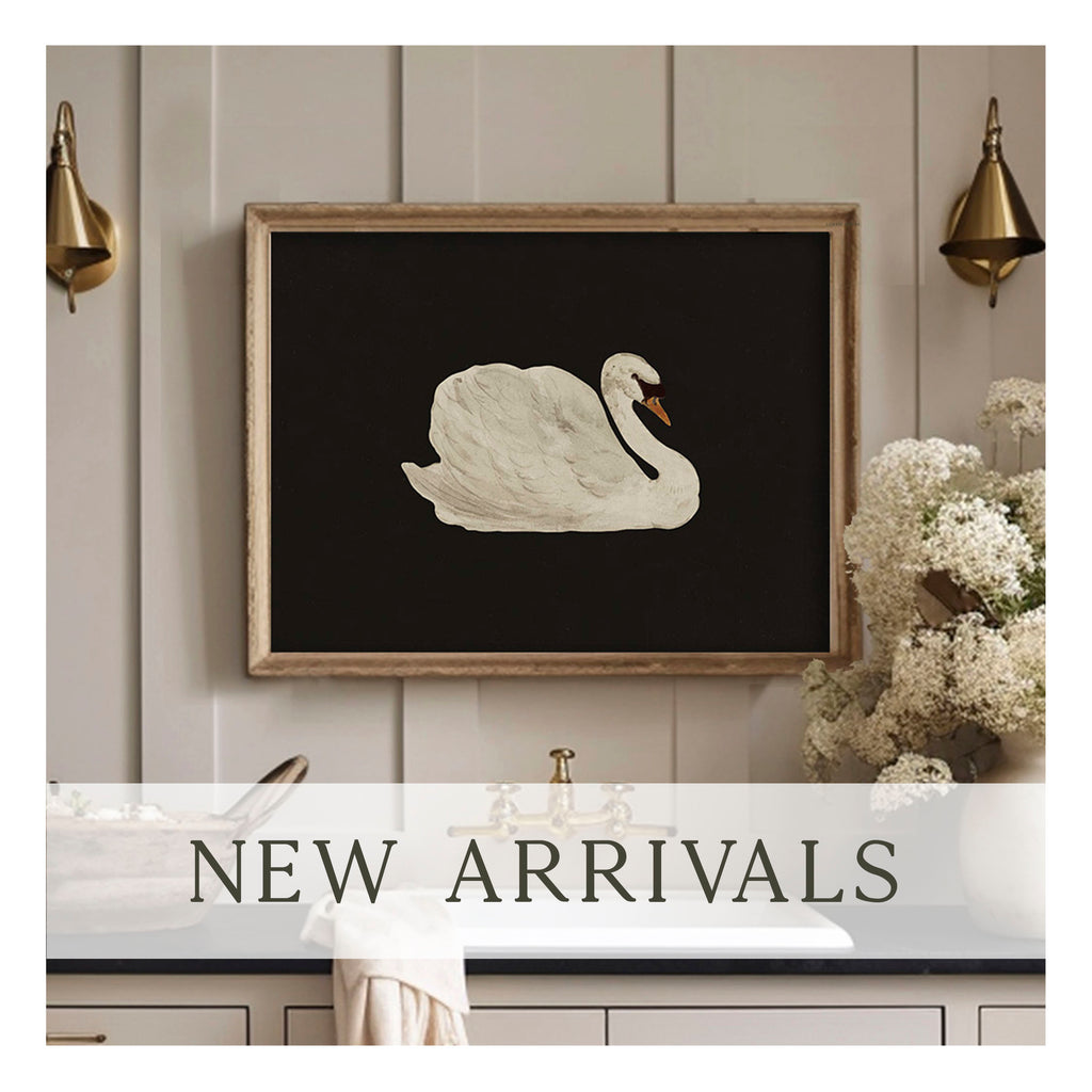 SHOP ALL Paper House Print Shop Shop all paper house print shop