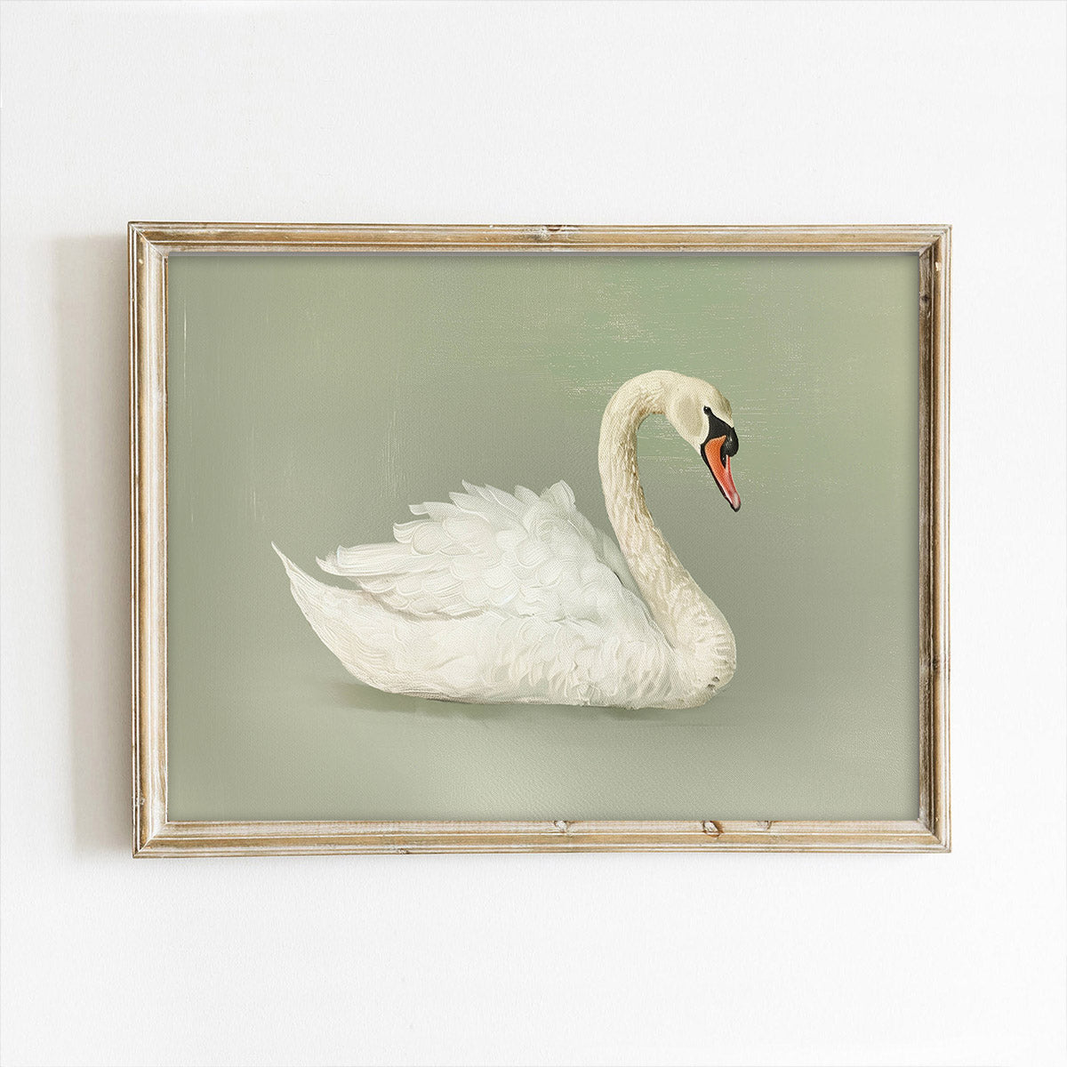 Green Background Swan Art Print – Paper House Print Shop