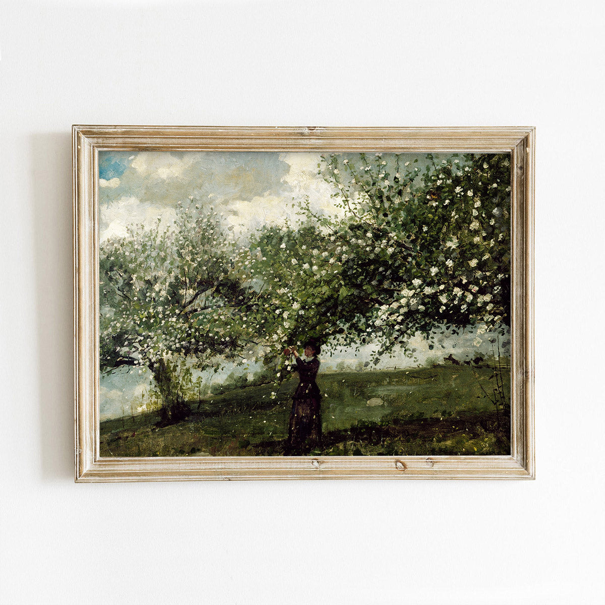 Woman & Apple Blossoms Vintage Art Print 30x40